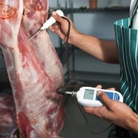 Kit termometro ARW 860-125 per igiene alimentare